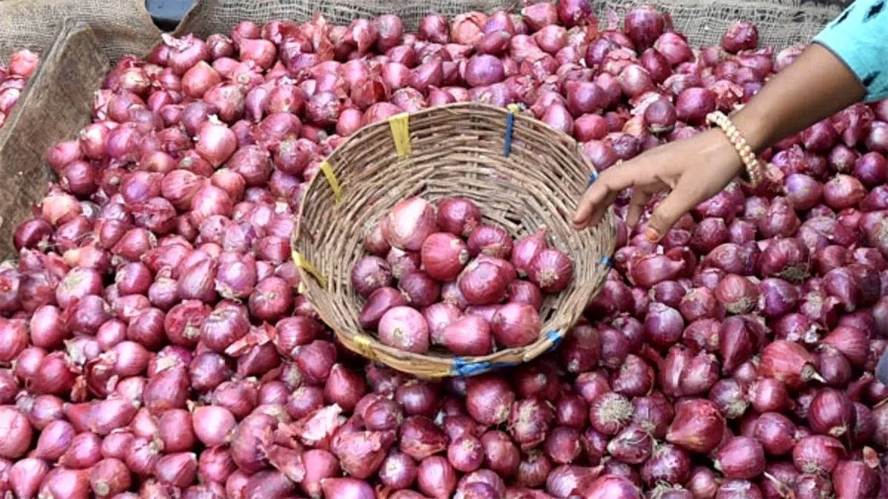 Onion Price: आज इन 10 स्थानों पर आधे दाम पर मिलेगा प्याज, जनता को राहत देने यहां सरकार ने लिया बड़ा फैसला