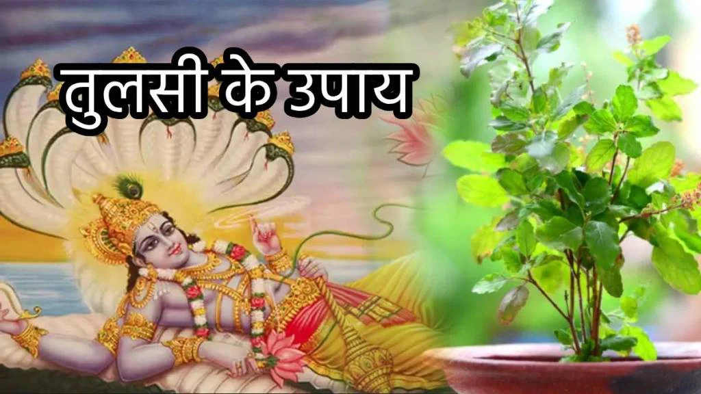 Indira Ekadashi 2024: इंदिरा एकादशी पर करें तुलसी के ये 3 उपाय; संभाले नहीं संभलेगा इतना आएगा धन!