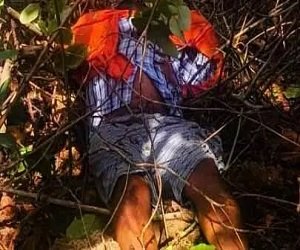 CG News : लापता युवक की जंगल में मिली सड़ी-गली लाश, इलाके में फैली सनसनी, जांच में जुटी पुलिस