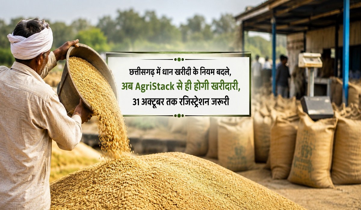 Agri Stack Registration: छत्तीसगढ़ में धान खरीदी के नियम बदले, अब AgriStack से ही होगी खरीदारी, 31 अक्टूबर तक रजिस्ट्रेशन जरूरी