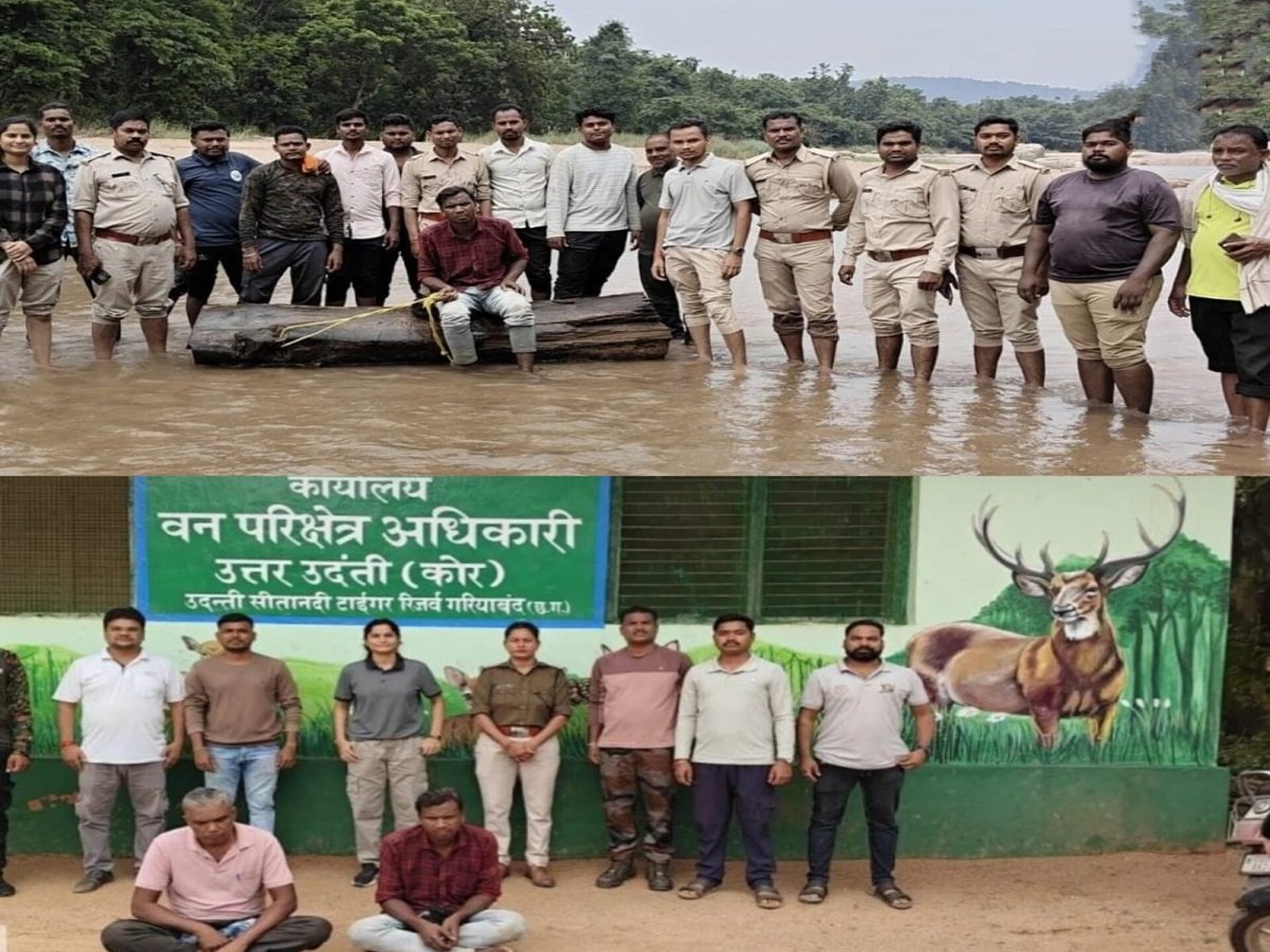 CG CRIME: ‘पुष्पा’ स्टाइल में सागौन तस्करी का खेल! वन विभाग-पुलिस ने अंतरराज्यीय गिरोह के 3 तस्करों को दबोचा