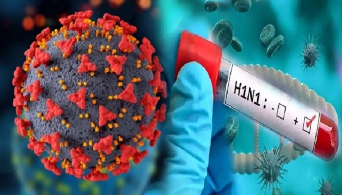 Swine Flu Alert: छत्तीसगढ़ में 16 नए मरीज मिले, मरीजों की संख्या 108 पहुंची; प्रदेश में 251 केस